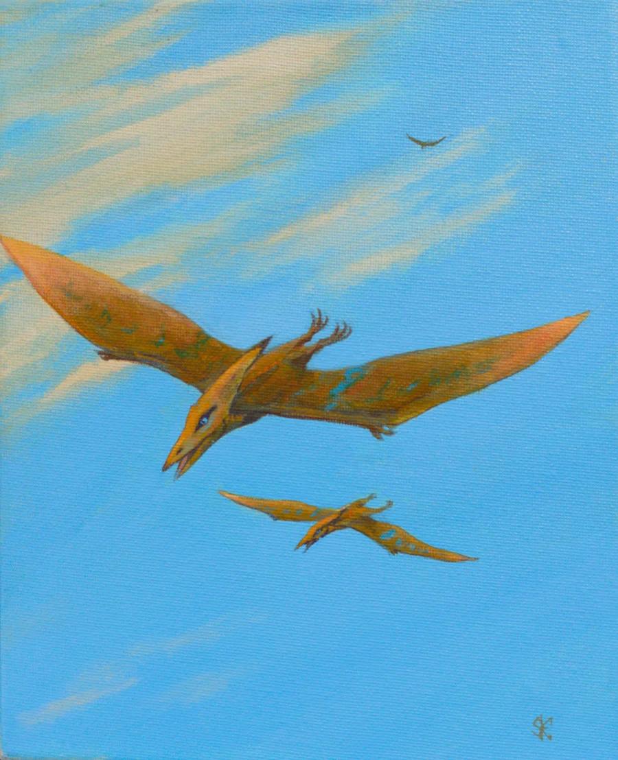 Pterodactyl Sky
